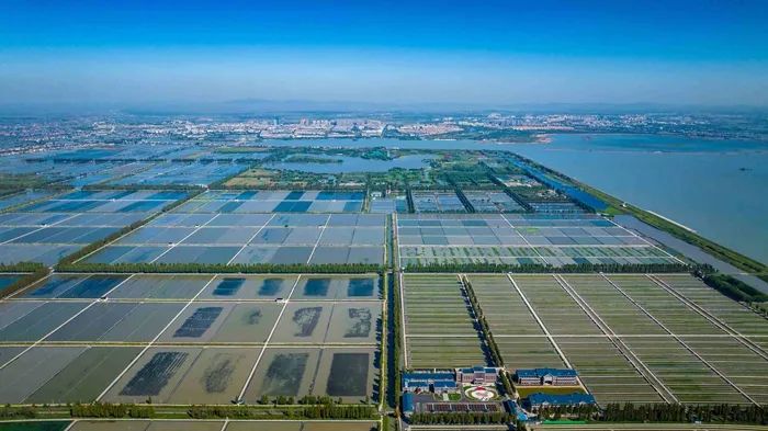 航拍高淳固城湖螃蟹核心區(qū)。高淳區(qū)融媒體中心供圖